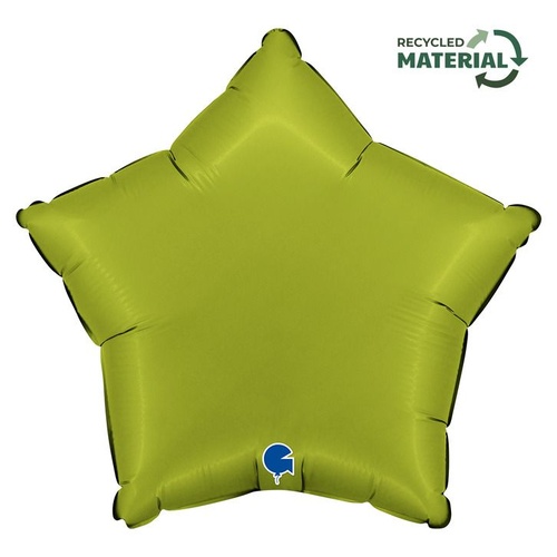 45cm Star Matcha Latte Foil Balloon #30192000SMTLP - Each (Pkgd.)
