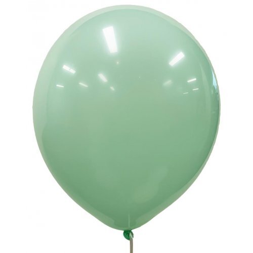 30cm Round Occasions Macaron Light Green Plain Latex #30203194 - Pack of 25