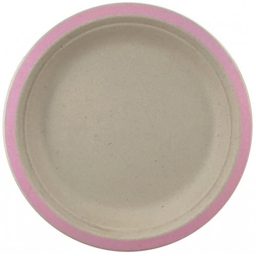Sugarcane Lunch Plates Light Pink #30400113 - 10Pk (Pkgd.)