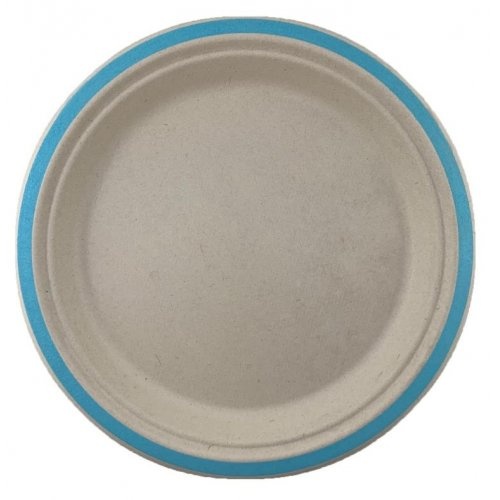 Sugarcane Lunch Plates Light Blue #30400114 - 10Pk (Pkgd.)