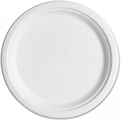 Sugarcane Dinner Plates White #30400253 - 10Pk (Pkgd.)