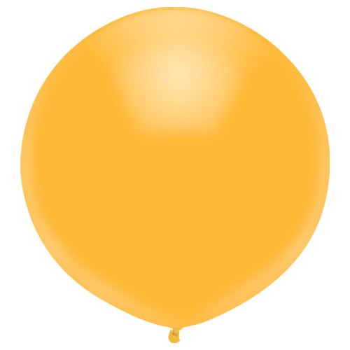 43cm Round Radiant Gold BSA Outdoor Balloon #57258 - Pack of 50