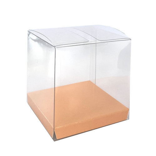 Paper Party Clear Favour Box Peach #6250PHP - 10pk