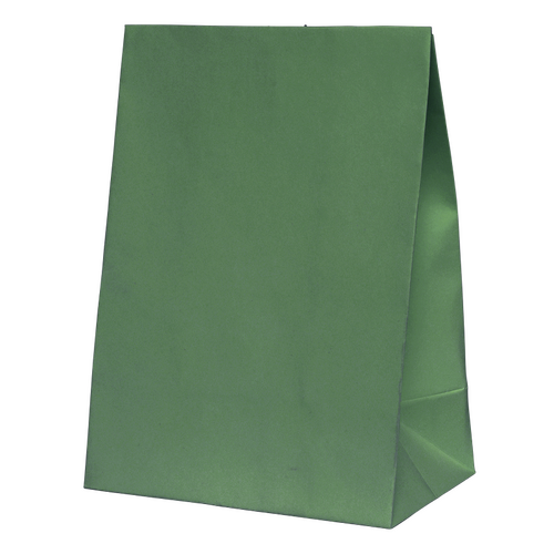 Paper Party Paper Party Bag Sage Green #6300SGP - 10pk