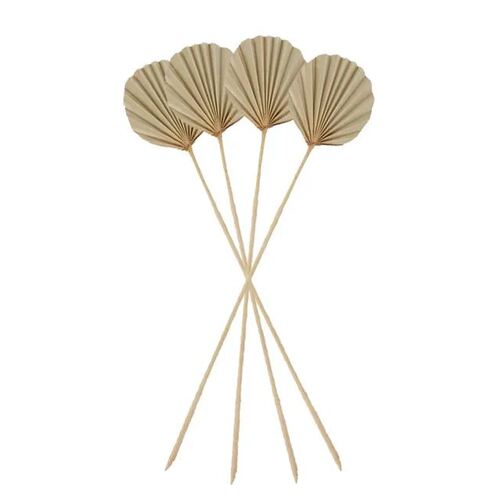 Preserved Dried Round Spear Palm Natural 55cm #CTCOD1513 - Pack of 4 