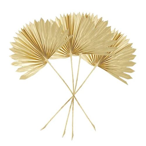 Preserved Dried Sun Spear Palm Gold 55cm #CTCOD1516 - Pack of 4 