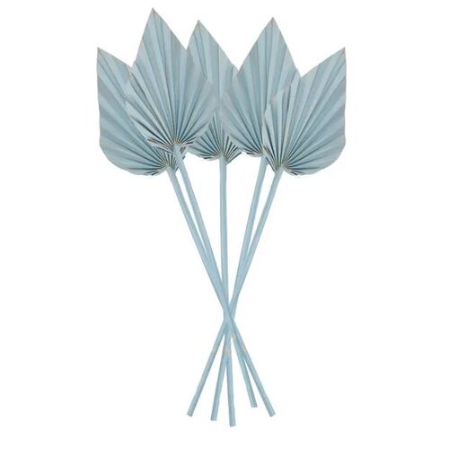 Preserved Dried Spade Palm Light Blue 45cm #CTCOD1540 - Pack of 5 TEMPORARILY UNAVAILABLE 