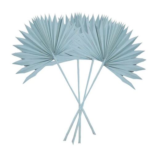 Preserved Dried Sun Spear Palm Light Blue 45cm #CTCOD1541 - Pack of 4
