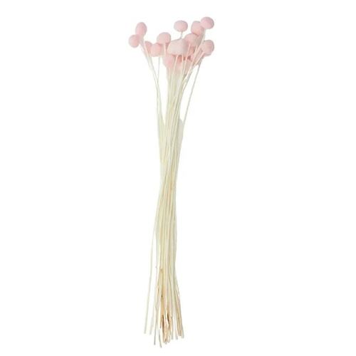 Preserved Dried Billy Button Bunch Pink 60cml #CTCOF3116 - Each