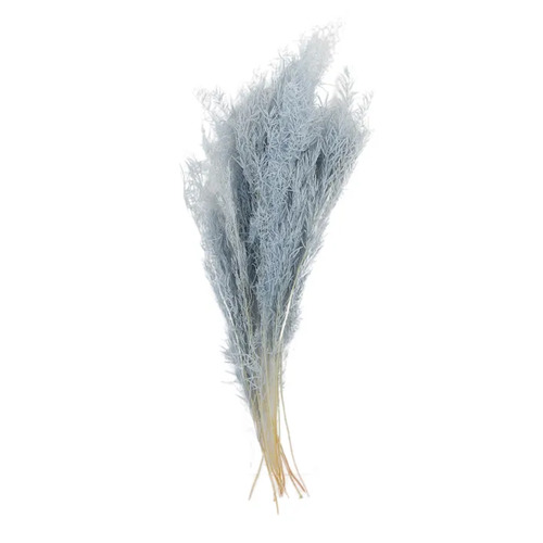 Preserved Dried Asparagus Bundle Grey 50cml #CTCOF3165 - Each