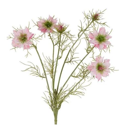 Cosmos Spray Stem Pink 66cm #FBLC162P - Each (Upkgd.)
