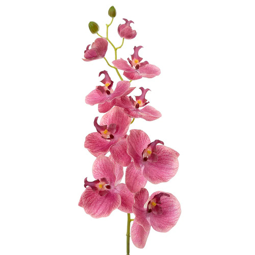 Orchid Phalaenopsis Spray Pink 74cml #FBLO229P - Each (Upkgd.)