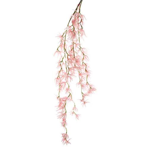 Orchid Spider Hanging Pink 1.1m #FBLO238P - Each (Upkgd.)