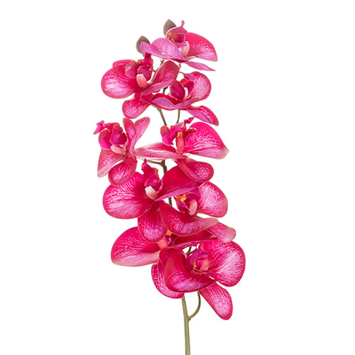 Orchid Stem Red 85cml #FBLO245R - Each (Upkgd.) 