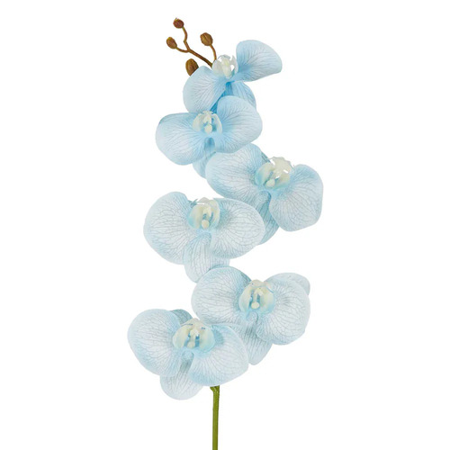 Orchid Single Stem Pale Blue 80cml #FBLO262AQ - Each (Upkgd.) 