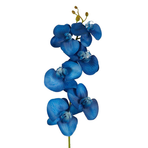 Orchid Single Stem Royal Blue 80cml #FBLO262DBL - Each (Upkgd.)