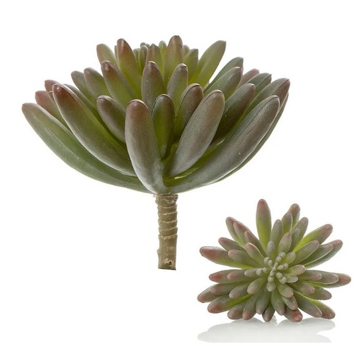 Succulent Spray Burgundy 14cm  #FBLS235BU - Each (Upkgd.)
