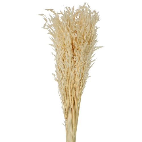 Preserved Dried Wheat Bunch Cream 76cml #FBLW116CR - Each TEMPORARILY UNAVAILABLE