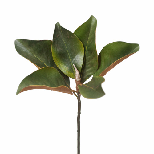 Magnolia Foliage Green 35cml #FI0196GR - Each (Upkgd.)