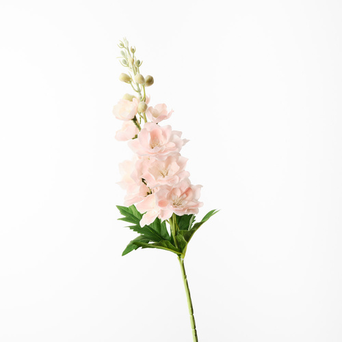Delphinium Peach 72cml #FI10555PE - Each (Upkgd.)