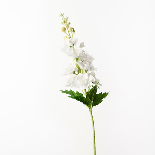 Delphinium White 72cml #FI10555WH - Each (Upkgd.)