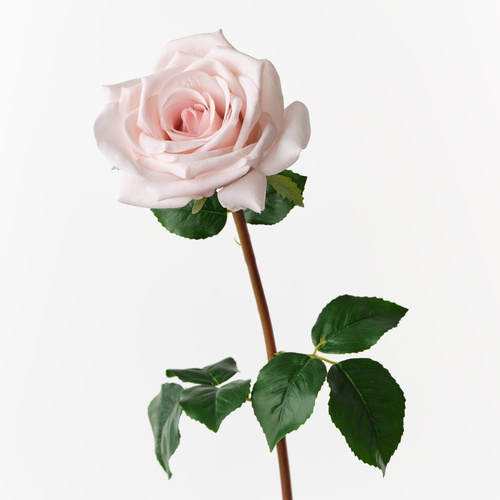 Fresh Touch Rose Olivia Soft Pink 72cml #FI10808SP - Each