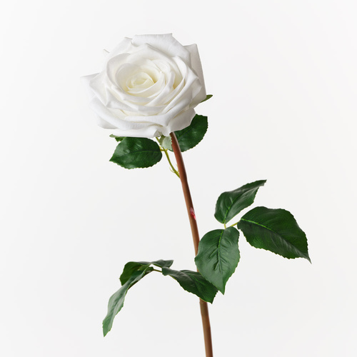 Fresh Touch Rose Olivia White 72cml #FI10808WH - Each