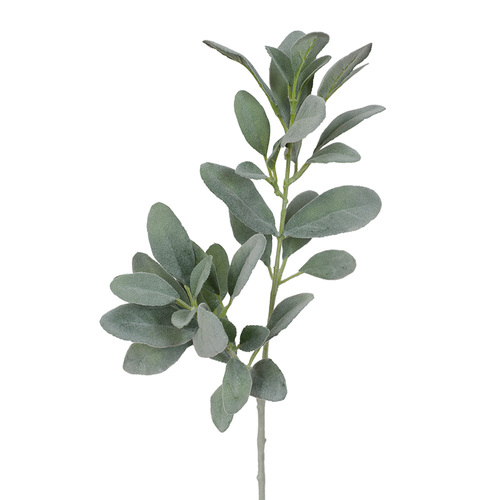 Lambs Ear Leaf Spray Grey Green 71cml #FI4440GY - Each 