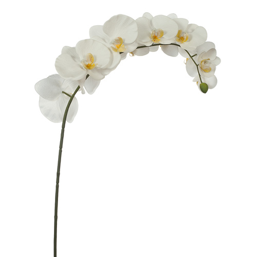 Orchid Phalaenopsis Spray Fresh Touch 102cml #FI4838WH - Each (Upkgd.)