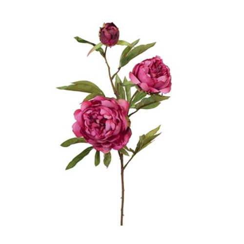 Peony Fuschia 74cml #FI6650FU - Each (Upkgd.) TEMPORARILY UNAVAILABLE