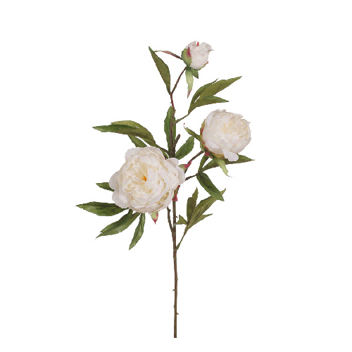 Peony White 74cml #FI6650WH - Each (Upkgd.) 