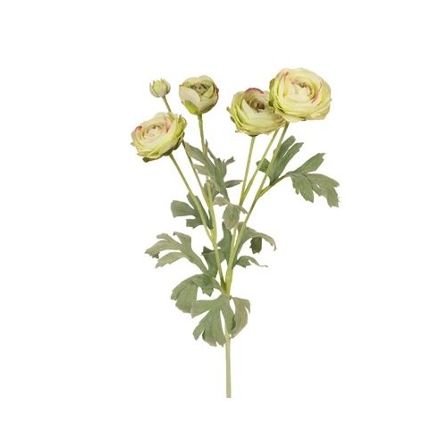 DISC Ranunculus Light Green 67cml #FI6837LG - Each (Upkgd.)