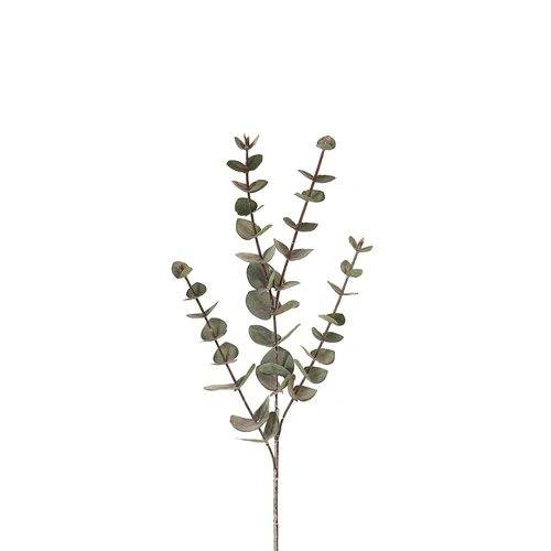 Eucalyptus Silver Dollar Dark Green 60cm #FI6980DG - Each (Upkgd.)