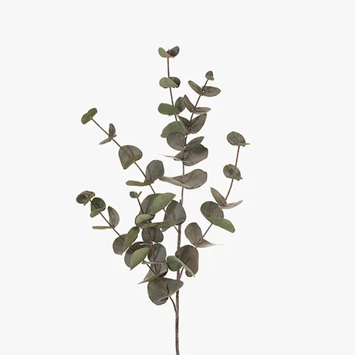 Eucalyptus Silver Dollar Dark Green 86cml #FI6982DG - Each 