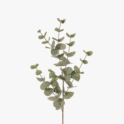 Eucalyptus Silver Dollar Forest Green 86cml #FI6982FG - Each TEMPORARILY UNAVAILABLE 