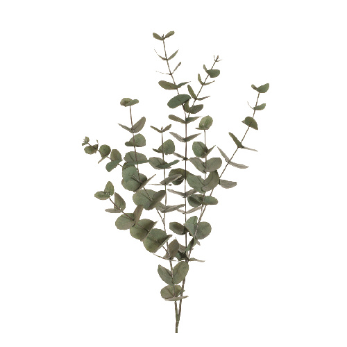 Eucalyptus Silver Dollar Forest Green 101cml #FI6983FG - Each (Upkgd.)