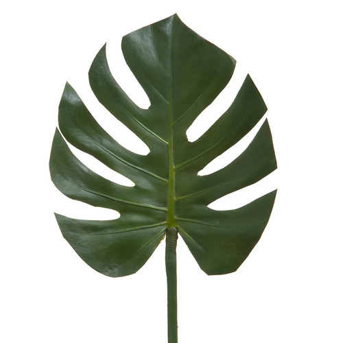  Philodendron Spli Leaf Stem Green 75cm #FBLL21GR - Each (Upkgd.) 