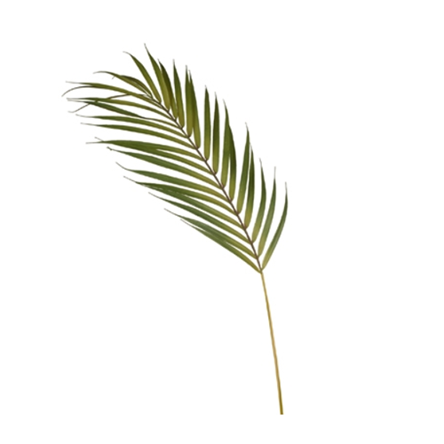 Palm Phoenix Leaf Green 76cml #FI7051GR - Each (Upkgd.)