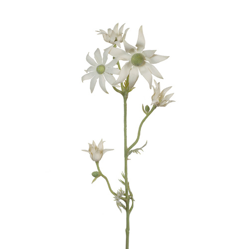 Flannel Flower Cream Green 46cml #FI7122CG - Each (Upkgd.) 