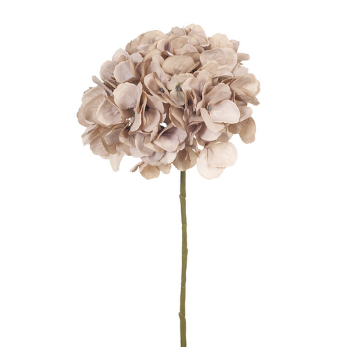 Hydrangea Antique Pink w/o Leaf 46cml #FI7361APK - Each (Upkgd.)