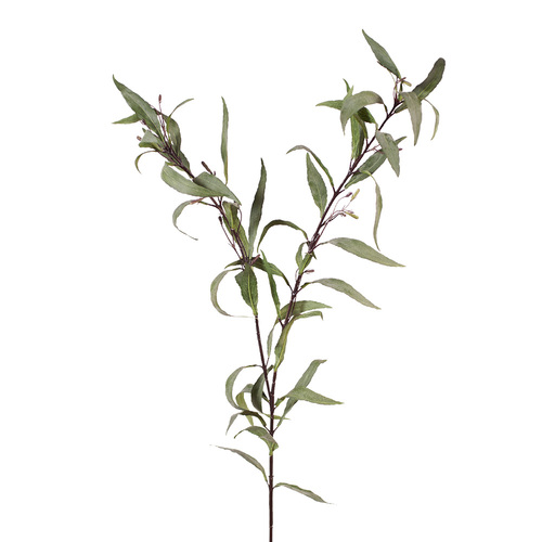 Ruellia Leaf Dark Green 91cml #FI7698DG - Each (Upkgd.)