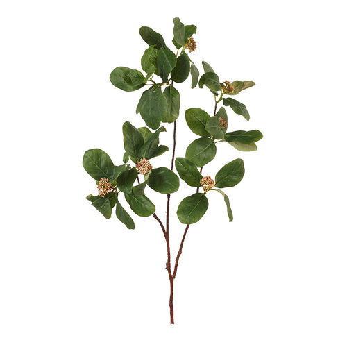 Magnolia Seed Leaf Spray 91cm #FI7796GR - Each (Upkgd.) 