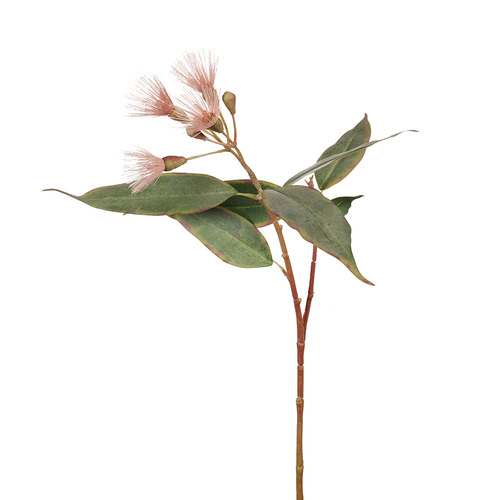 Eucalyptus Flowering Pink 53cml #FI7858PK - Each TEMPORARILY UNAVAILABLE