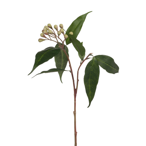 Eucalyptus Seed Spray Green 50cml #FI7950GR - Each (Unpkgd) TEMPORARILY UNAVAILABLE