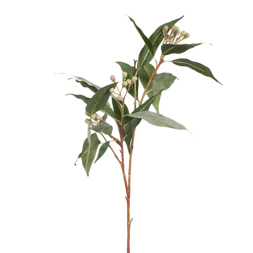 Eucalyptus Seed Spray Grey Green 83cml #FI7951GY - Each TEMPORARILY UNAVAILABLE