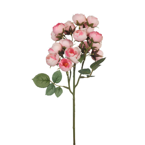 Rose Cabbage Spray Light Pink 44cml #FI8091LP - Each