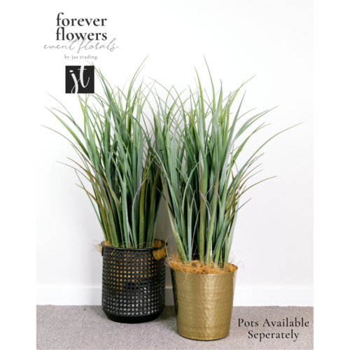 Grass Plant Grey Green 59cm #FI8107GY - Each