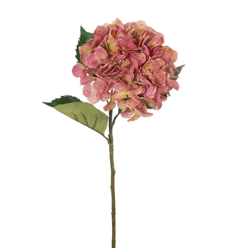 Hydrangea Rose Pink 62cml #FI8126RP - Each (Upkgd.)