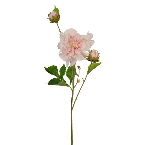 Dahlia Pompom Light Pink 65cml #FI8140LP - Each