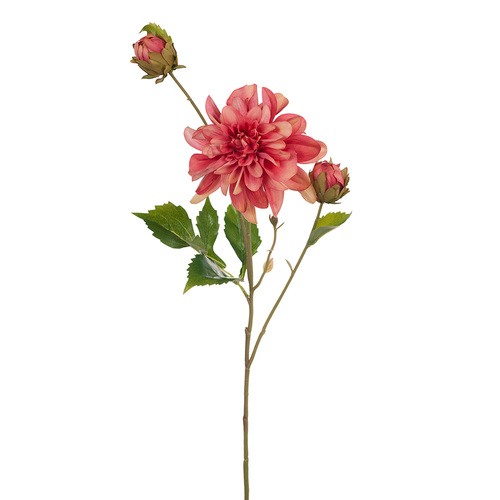 Dahlia Pompom Mauve 65cml #FI8140MV - Each  
